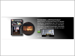 LD021 Fensterdeko LED-DUAL-COLOR