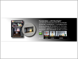LD041 Fensterdeko LED-Backlight Version 1